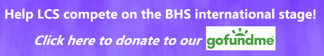 LCS go fund me page